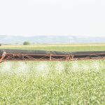 Desde agosto, la Comisión insta a los estados miembros a que las formulaciones de glifosato autorizadas en cada país no contengan el coformulante POE tallowamina. Un informe de la EFSA apunta a que éste componente es el responsable de la toxicidad