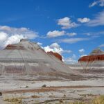 El Parque Nacional del Bosque Petrificado en Arizona, uno de los espacios naturales analizados en la investigación/Wikipedia