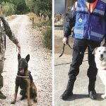 A la izquierda, el dueño e instructor de los perros, Ricardo Illescas, junto a su perro Nilo. A la derecha, con Ossa