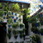 Los Patios de Córdoba fueron nombrados Patrimonio Inmaterial de la Humanidad por conservar un estilo de vida