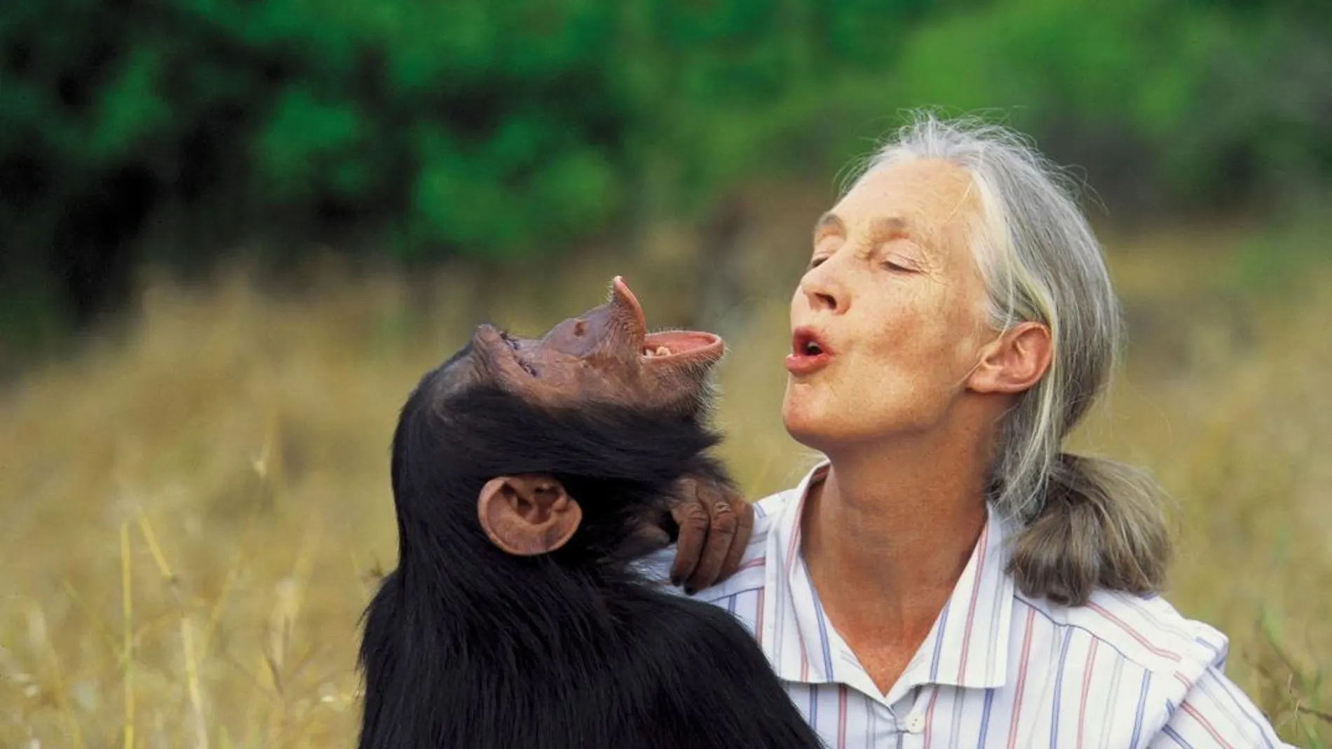 Jane Goodall