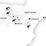 La descripción de las relaciones de parentesco de las jirafas incluye más de 30 especies y llega hasta sus representantes actuales