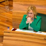 La Razón. La portavoz del PP, Mari Carmen Contelles, insiste en que ambos consejeros están imputados y advierte de que hay informes que aseguran que es incompatible con su cargo de consejeros en Divalterra