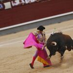 Miguel Ángel León ejecutando lances con el capote en los medios