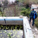 Un efectivos del equipo de Montaña y GEAS de actividades subacuáticas prosigue la búsqueda de Gabriel