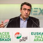 El portavoz del PNV en el Congreso, Aitor Esteban.