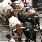Encierro de Torrestrella