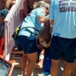 Pánico en Miami Beach por el ataque de un tiburón a una persona a escasos metros de la orilla