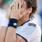 David Ferrer, celebra su triunfo sobre Tsonga
