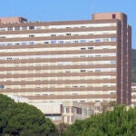 El Hospital Germans Trías i Pujol (Can Ruti), que llevará a cabo el proyecto