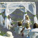 La escritora presenta, rodeada de lavanda y amigos, la novela en Brihuega, llamada la pequeña Provenza española / Javier Fernández Largo