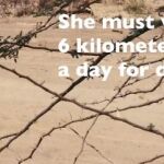 Global 6K For Water: corre por ellos