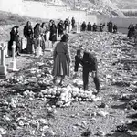 Varias personas dejan flores en Paracuellos, donde fueron asesinados y enterrados sus familiares