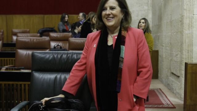 La consejera andaluza de Igualdad y Políticas Sociales, María José Sánchez Rubio, en el Parlamento autonómico
