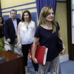 La consejera de Salud, Marina Álvarez, en una comisión parlamentaria