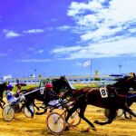 Carrera de caballos en la 1ª edición de Hats &amp; Horses | Imagen cedida