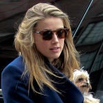 Amber Heard se reúne con su ex novia Tasya Van Ree