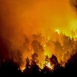 El incendio forestal que desde el miércoles afecta a La Palma sigue afectando al municipio de Villa de Mazo