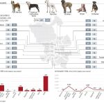 Puente de Vallecas: tres veces más perros peligrosos que la media en Madrid