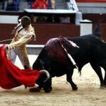 Mario Alcalde da un pase de pecho al último novillo de Sánchez Fabrés lidiado en Las Ventas
