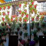 Patio de la calle San Basilio nº 14