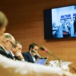 V Los cabecillas de la trama Gürtel Francisco Correa , Pablo Crespo y Álvaro Pérez "el Bigotes"comparecen desde la cárcel /Efe