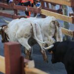 Un encierro taurino, en una imagen de archivo (LA RAZÓN)