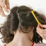 Todo sobre los piojos. Curiosidades, síntomas, prevención, tratamiento...