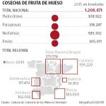 ¿Por qué hemos dejado de comer melocotones y nectarinas en España?