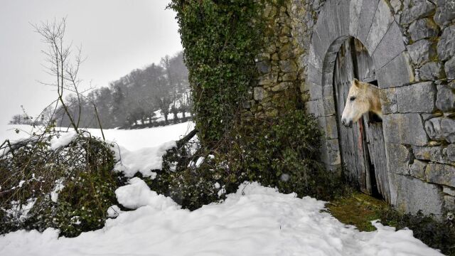 En la localidad navarra de Aldatz, a 60 kilómetros de Pamplona, la nieve cubrió carreteras y campiñas y la vida se paralizó