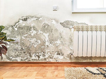 Las humedades aumentan un 40% con la llegada del oto&ntilde;o