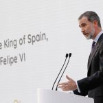 El Rey Felipe VI durante su intervención en el XII Encuentro de Cotec Europa