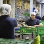 Trabajadores de la empresa vallisoletana Patatas Meléndez