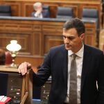 El líder del PSOE, Pedro Sánchez, en el Congreso de los Diputados / Foto: Luis Díaz