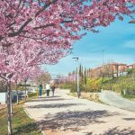 Las farolas del municipio son LED y cuentan con un sistema domótico que permite bajar la luz al mínimo en las calles no transitadas