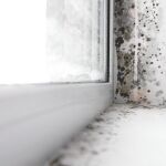 La larga temporada de lluvias y las bajas temperaturas son dos grandes aliados para que las humedades proliferen en edificaciones con mala ventilación