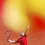 David Ferrer: «En la última bola sentí alivio más que nada»