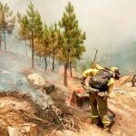 Operarios del servicio de extinción de incendios trabajan para sofocar las llamas en el fuego de Casavieja, en el valle del Tiétar