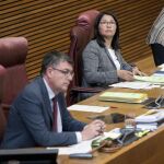 La diputada del grupo parlamentario Podemos, Irene Gómez, tras jurar su cargo como nueva secretaria segunda de la Mesa de Les Corts Valencianes en sustitución de Marc Pallarès