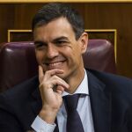 El secretario general del PSOE, Pedro Sánchez, en el Congreso/Foto: Alberto R. Roldán