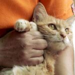 «Es fundamental apoyar a las asociaciones protectoras de animales, que hacen una labor importantísima y en España recogen más de 137.000 animales»