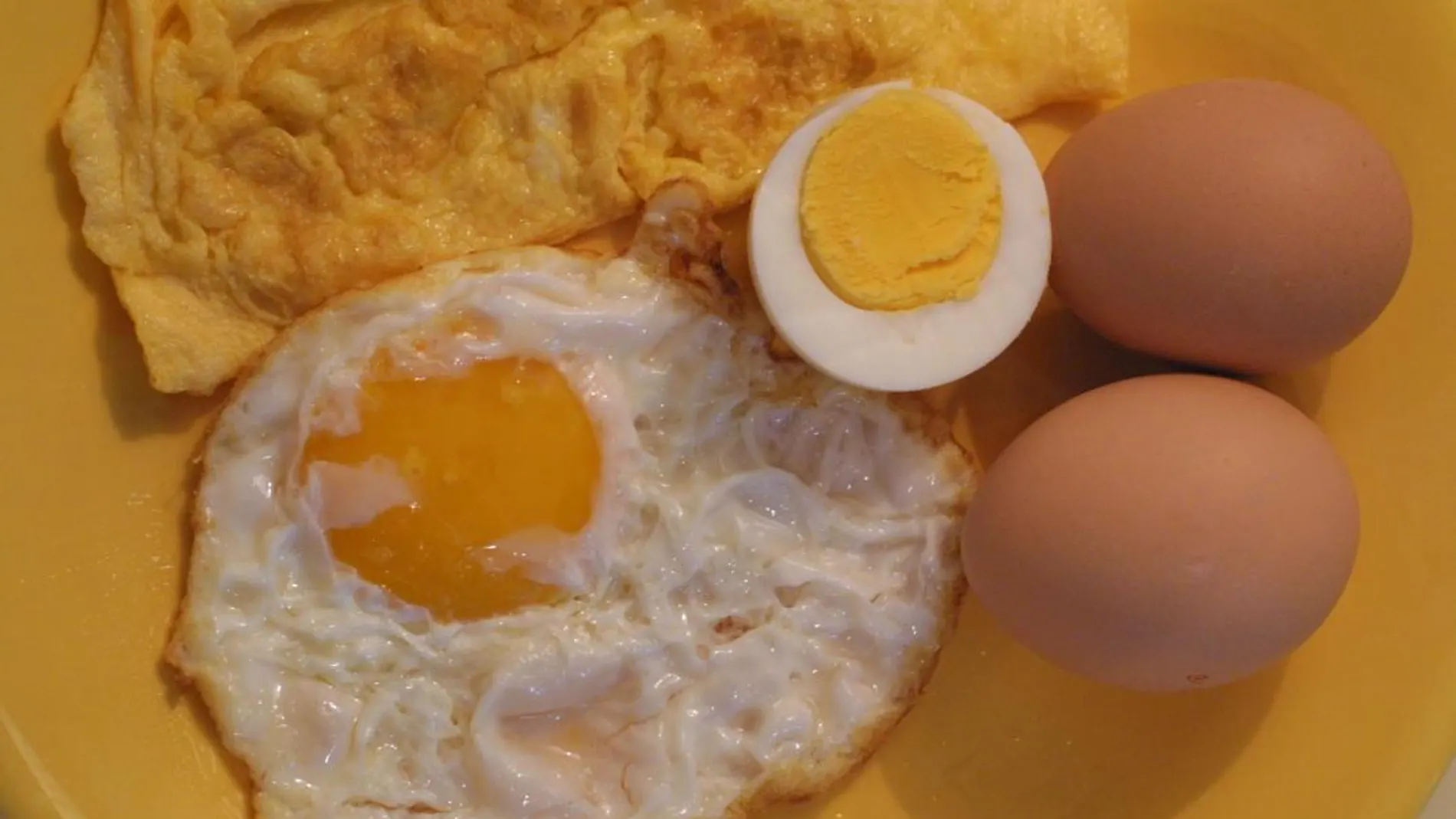 Huevo frito, cocido, duro o en tortilla. Foto: C. Pastrano