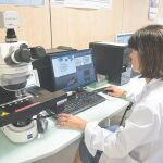 Este proyecto, denominado ‘COVID DATA SAVE LIVES’, estará disponible de forma abierta y gratuita a partir del próximo 25 de abril