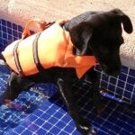 Nube practica ejercicios de rehabilitación en la piscina