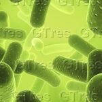Estudio demuestra que el cobre acelera el desarrollo de células cancerígenas