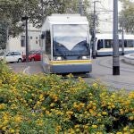 FGV ha sido preseleccionada para construir dos líneas de tranvía en Bogotá