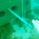 Imagen submarina en la que se ve uno de los bloques en el fondo de la bahía de Algeciras con los pinchos que destrozan las redes de los pescadores