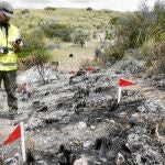 Un agente forestal trabaja sobre la «senda» de cenizas que dejó el pasado año un incendio en Tielmes