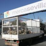 Los animales volverán a ser sacrificados en el matedero de Mercasevilla