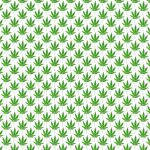 El cannabis ya se utilizaba como medicina hace más de 4.000 años y contiene 489 componentes diferentes.